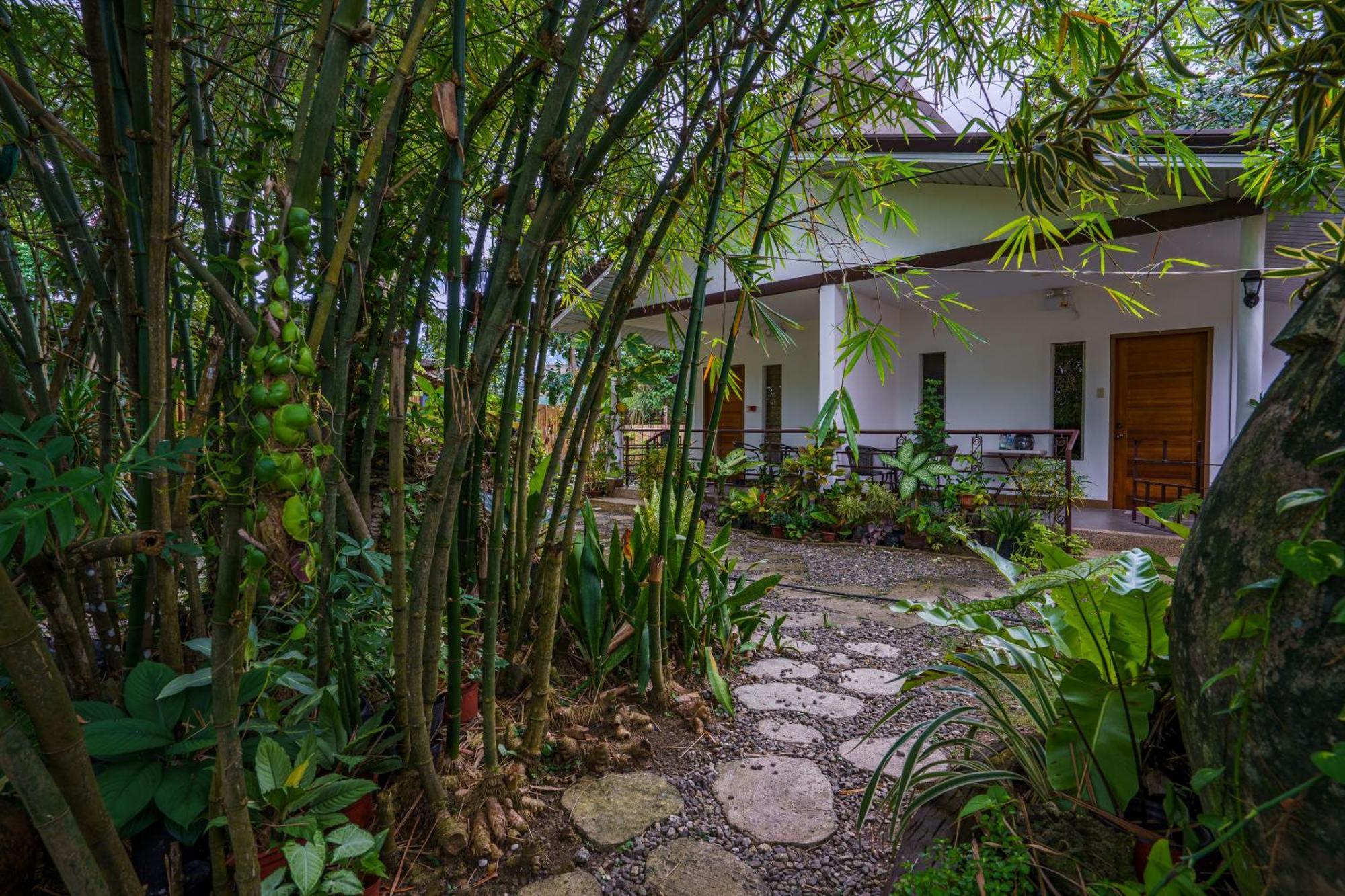 Weyh'S Studio #1 By The Ocean 100Mbps Panglao Exterior photo
