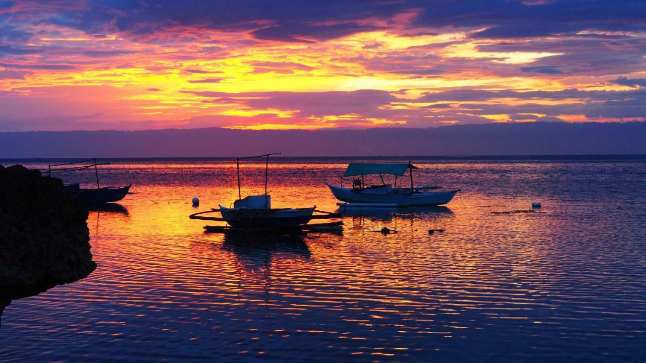 Weyh'S Studio #1 By The Ocean 100Mbps Panglao Exterior photo